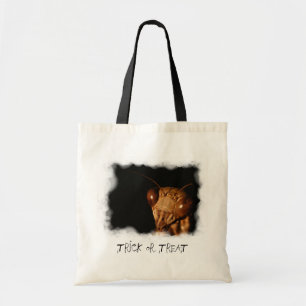 Mantis Halloween ~ bag