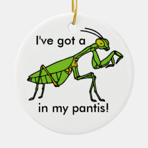 Mantis in my Pantis! Ceramic Tree Decoration