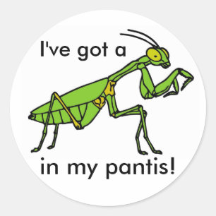 Mantis in my Pantis! Classic Round Sticker