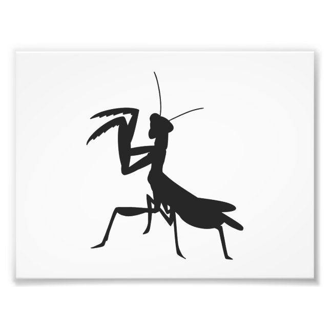 Mantis in silhouette - Choose background colour Photo Print (Front)