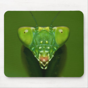 Mantis Mouse Pad