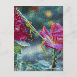 Mantis:Postcard Postcard