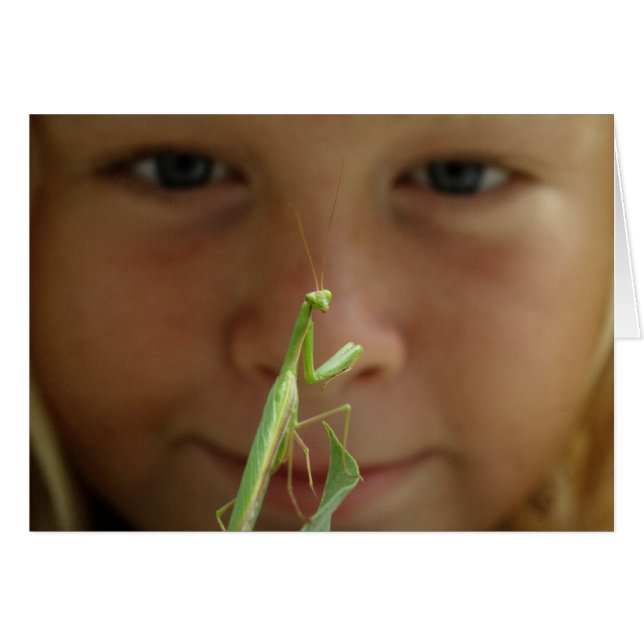 Mantis religiosa (Front Horizontal)