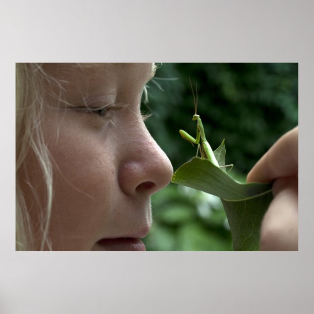 Mantis religiosa poster (Front)