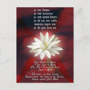 Mantra of Love Postcard