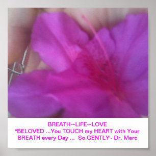 MANTRA POSTER