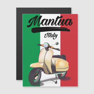 Mantua Italy travel poster