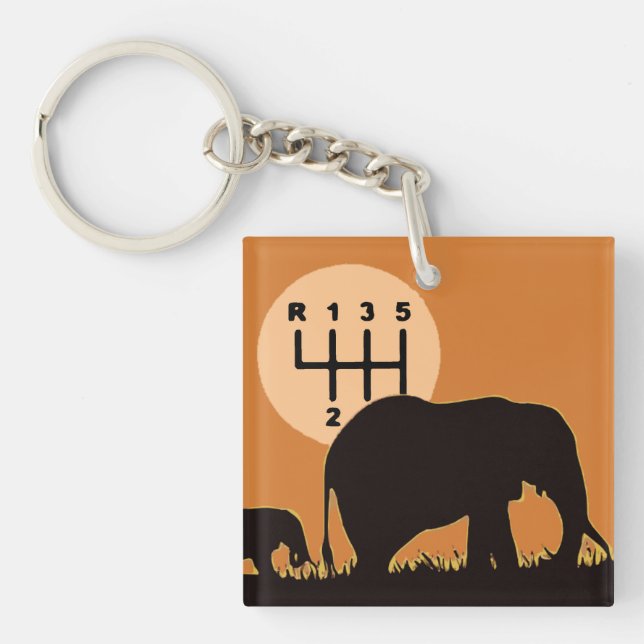 MANUAL - Endangered Key Ring (Front)