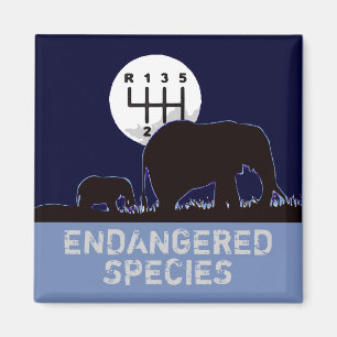 MANUAL - Endangered Species Magnet