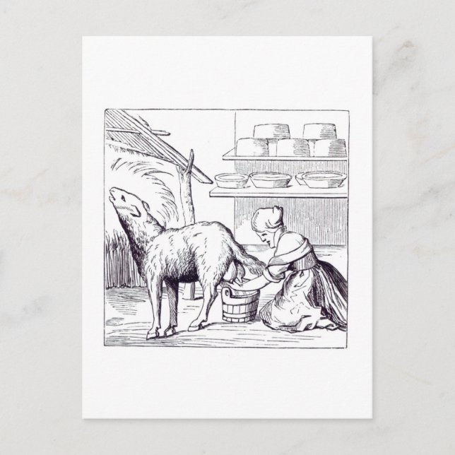 Manufacture of cheeses in Switzerland, after a woo Postcard (Front)