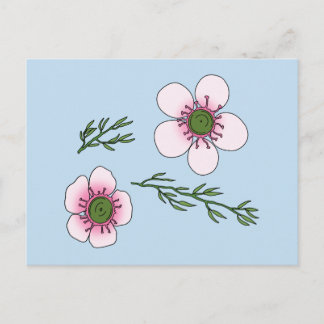 Manuka Flowers Postcard