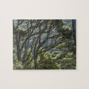 Manuka Tree Forest New Zealand Jigsaw Puzzle
