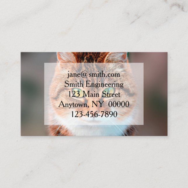 Manx Cat  Face Looking Business Card (Front)