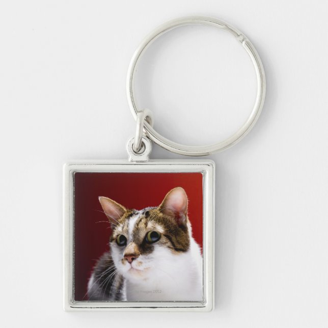 Manx cat key ring (Front)