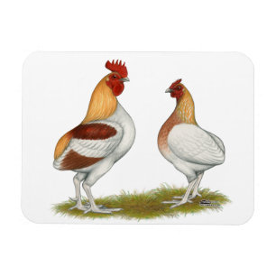 Manx Rumpies Magnet