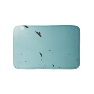 Many birds and a contrail bath mat
