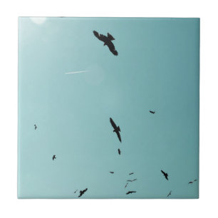 Many birds and a contrail ceramic tile