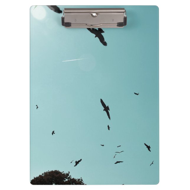 Many birds and a contrail clipboard (Front)