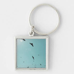 Many birds and a contrail key ring