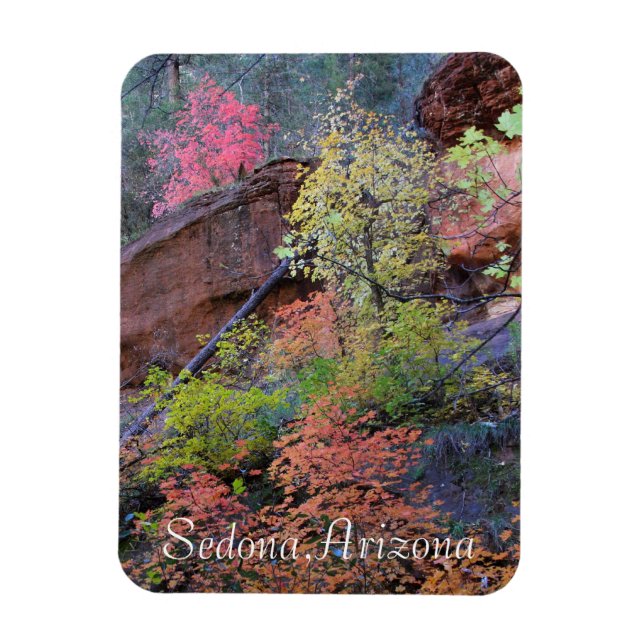 Many colors of Sedona Magnet (Vertical)