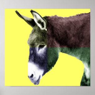 Many Colours Burro Poster