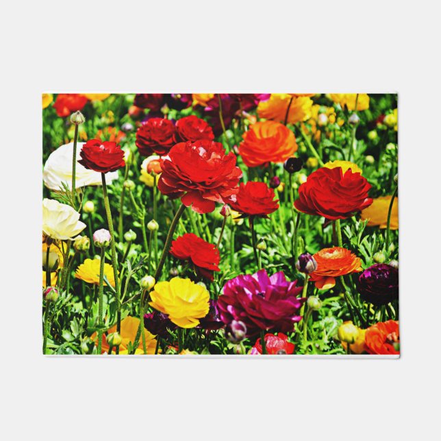 Many Colours Of Ranunculus Doormat (Front)