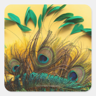 Many different kinds of feathers on a yellow square sticker