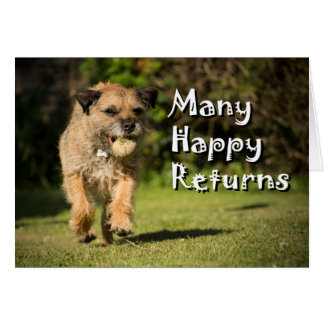 Many happy returns, Border Terrier Card