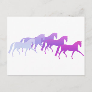 Many Horses (purples) Postcard