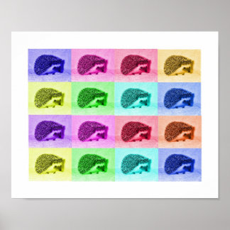 Many Hues of Hedgehogs Poster