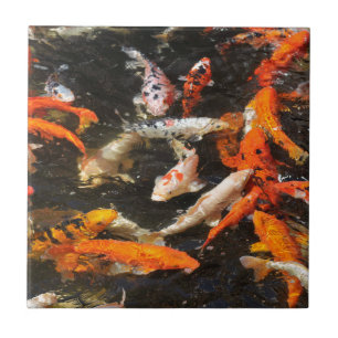 Many koi carp multicolor tile