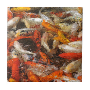 Many koi carp multicolor tile