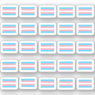 Many little transgender flags