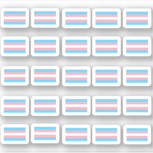 Many little transgender flags (Front)