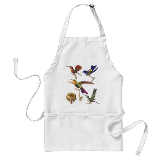 Many Multicolored Hummingbirds on an Apron (Front)