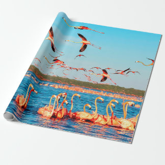 Many pink beautiful flamingos in a beautiful blue  wrapping paper