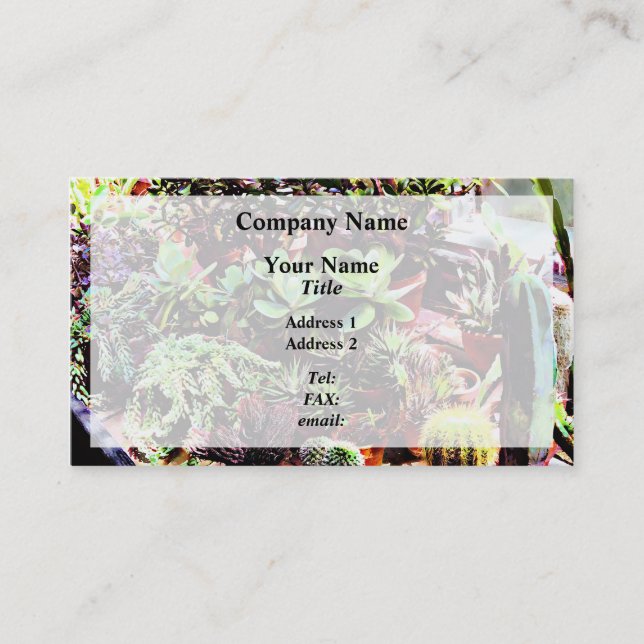 Many Varieties of Cactus Business Card (Front)