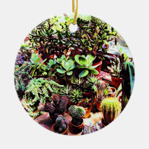 Many Varieties of Cactus Ceramic Ornament