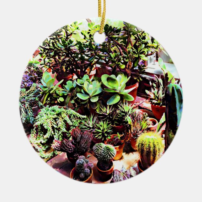 Many Varieties of Cactus Ceramic Ornament (Front)