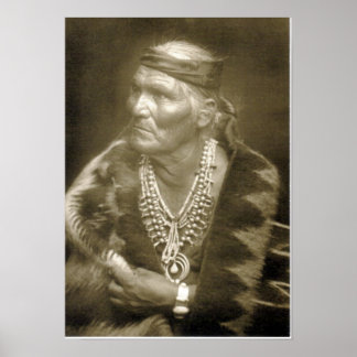 Many Whiskers Poster