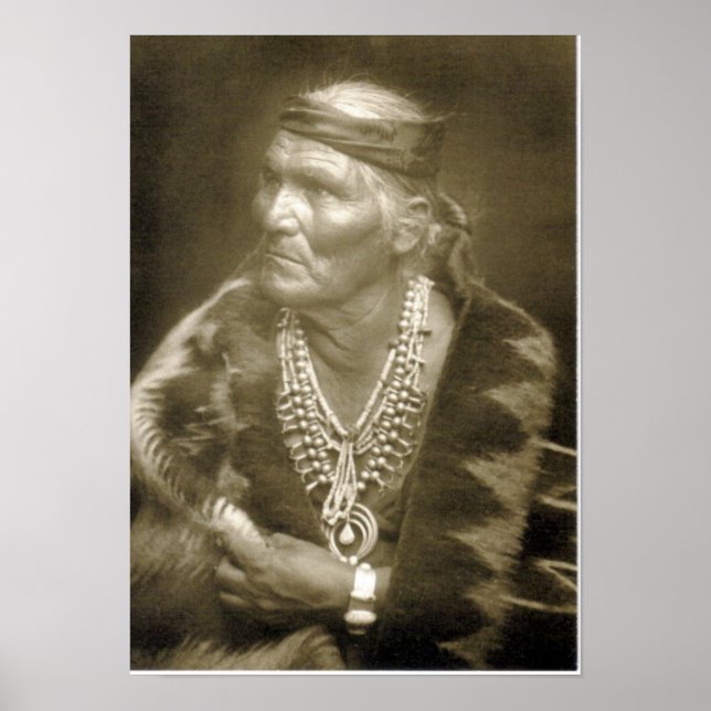 Many Whiskers Poster (Front)