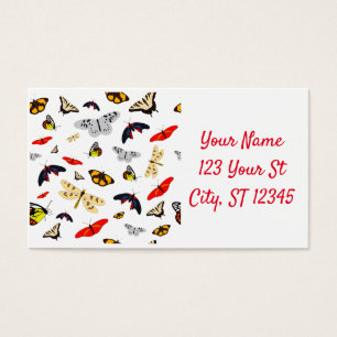 Many Winged Creatures Thunder_Cove