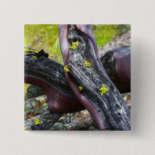Manzanita Button
