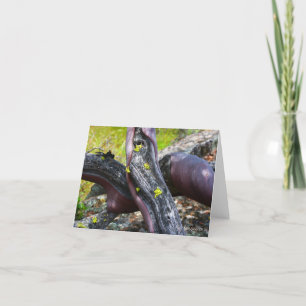 Manzanita Greeting Card