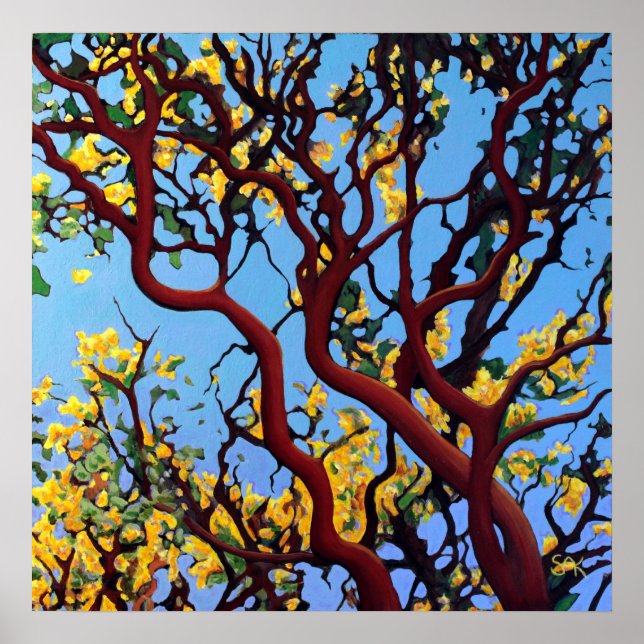 Manzanita in Autumn Poster (Front)