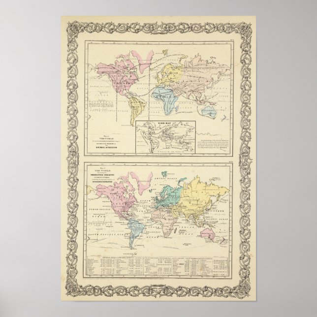 Map in colour of The World Poster (Front)