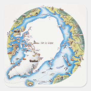 Map of Arctic Square Sticker