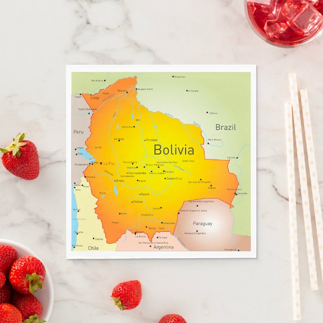 Map of Bolivia with Cities and Borders Napkin (Creator Uploaded)