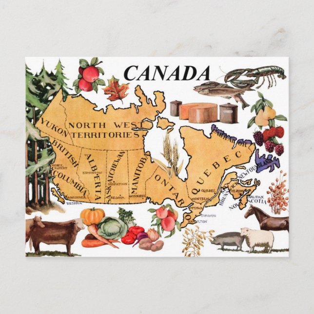 Map of Canada and various representative products Postcard (Front)