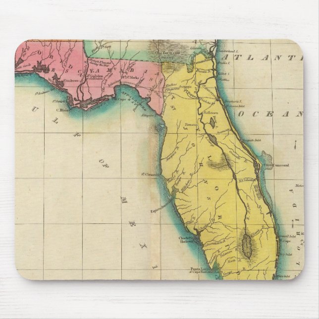 Map Of Florida Mouse Pad (Front)